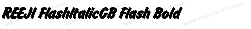 REEJI FlashltalicGB Flash Bold字体转换